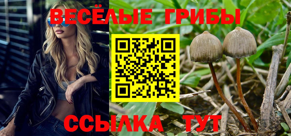 Галлюциногенные грибы мухоморы  Вход с VPN  Галлюциногенные грибы Psilocybine cubensis  Кириши 