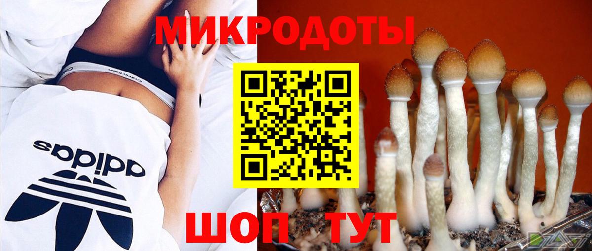 Галлюциногенные грибы MAGIC MUSHROOMS Кириши